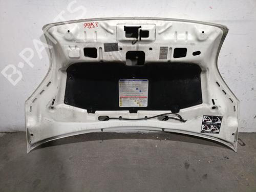 Hood CITROËN NEMO Box Body/MPV (AA_) 1.3 HDi 75 | BP29597222C1 