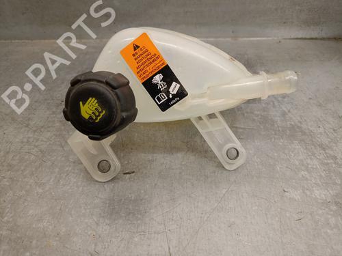 Used Expansion tank RENAULT AUSTRAL TCe 130 (HGM2) (131 hp) 23208930
