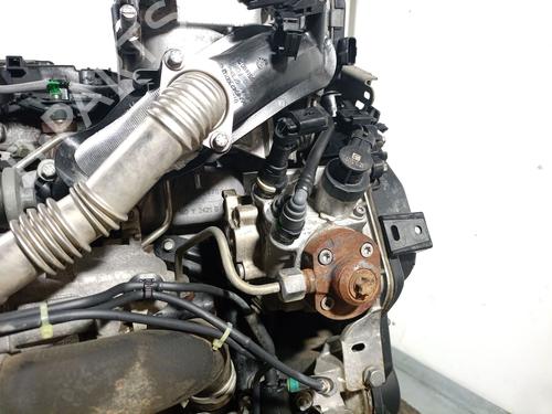 Engine PEUGEOT PARTNER Box Body/MPV 1.6 HDi / BlueHDi 75 | BP37713204M1  - Image 7