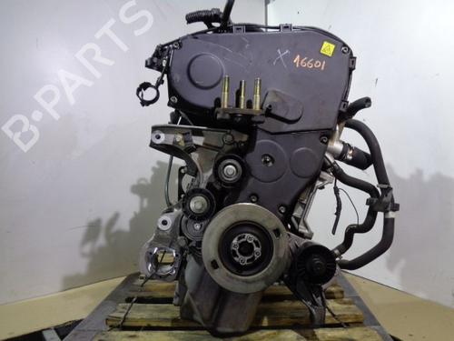 Used Engine Engine 11061918 11061918