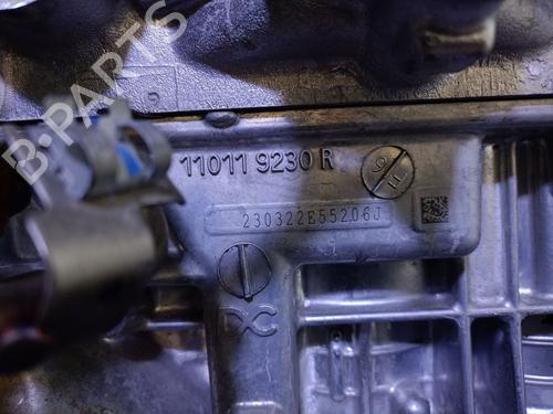 Engine DACIA JOGGER (RK_) 1.0 TCe 90 ECO-G (RKMT) | BP29708150M1 