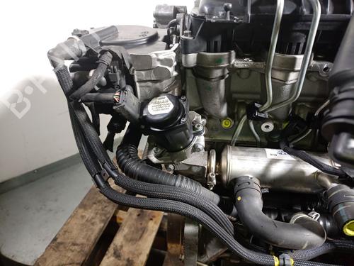 Motor CITROËN BERLINGO / BERLINGO FIRST MPV (MF_, GJK_, GFK_) 1.6 HDI 75 (MF9HW, GJ9HWC, GF9HWC, GN9HWC) | BP31065604M1 