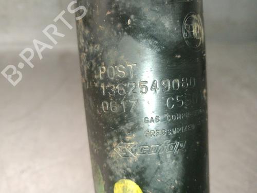 Left rear shock absorber PEUGEOT BOXER Platform/Chassis 2.2 HDi 100 | BP32314229M18 - Image 5