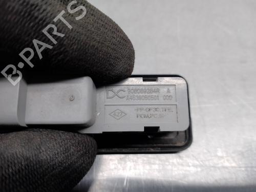 Tailgate handle RENAULT CAPTUR II (HF_)  | BP15831569C132 