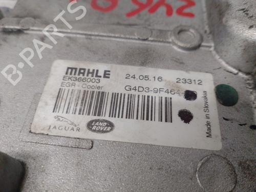 Egr JAGUAR F-PACE (X761) | BP33117865M69 - Image 5