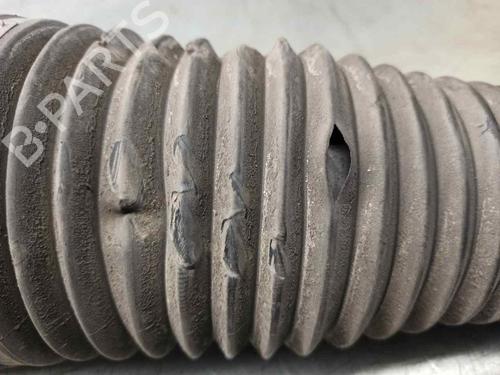 Left rear shock absorber VW TOUAREG (7LA, 7L6, 7L7) 3.0 V6 TDI | BP12118054M18 