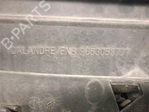 Grille CITROËN C3 I (FC_, FN_) 1.4 i | BP28316495C40