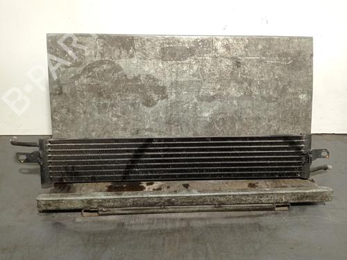 Køler LAND ROVER RANGE ROVER SPORT I (L320) 3.0 D 4x4 | BP29450660M31 