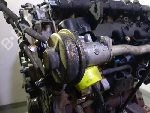 Engine FORD MONDEO III (B5Y) 2.0 TDCi | BP29314080M1 