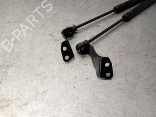 Hood lift support CHEVROLET CAPTIVA (C100, C140) 2.0 D 4WD | BP27026146C139 