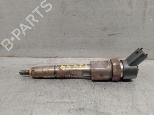 Used Injector RENAULT MEGANE II Saloon (LM0/1_) 1.9 dCi (LM0G, LM1G, LM2C) (120 hp) 25024710