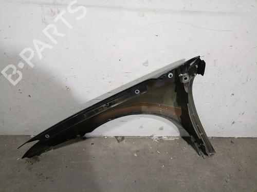Right front fenders RENAULT LAGUNA III (BT0/1) 1.5 dCi (BT00, BT0A, BT0T, BT1J) | BP29077376C42 