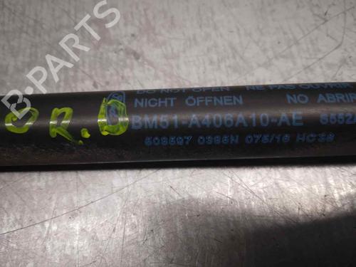 Tailgate lift support FORD FOCUS III  | BP20265974C138 