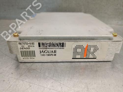 Engine control unit (ECU) JAGUAR X-TYPE I (X400) 2.5 V6 All-wheel Drive | BP31173052M57