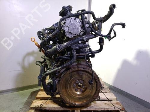 Engine SKODA FABIA II Combi (545) 1.9 TDI | BP25240527M1 