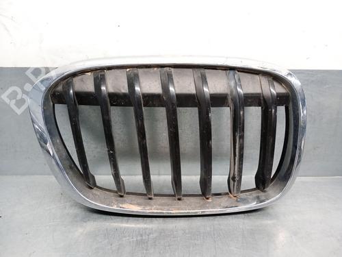 Used Grille BMW X1 (F48) sDrive 18 d (150 hp) 27873022
