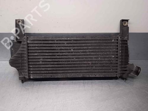 Intercooler NISSAN PATHFINDER III (R51) 2.5 dCi | BP11927358M30 
