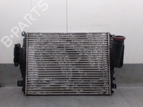 Used Intercooler JAGUAR S-TYPE II (X200) 2.7 D (207 hp) 28140242
