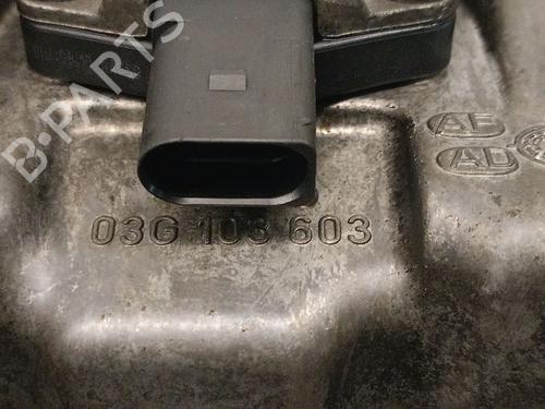Oil sump VW PASSAT B6 (3C2) 2.0 TDI | BP31292732M115 