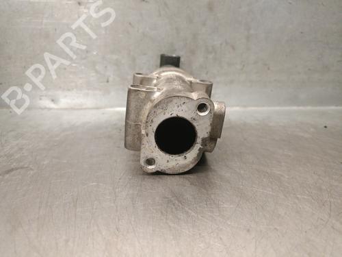 Egr FIAT BRAVO II (198_) 1.9 D Multijet (198AXB1A) | BP28537133M69