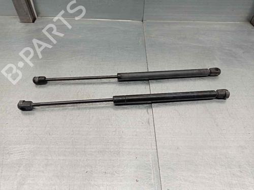Used Tailgate lift support RENAULT MEGANE I (BA0/1_) 1.9 dTi (BA08, BA0N) (98 hp) 20265225