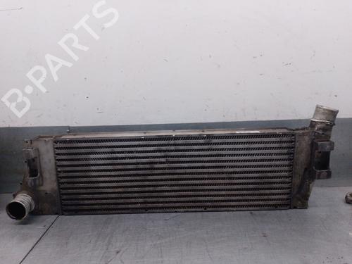Used Intercooler RENAULT MEGANE II (BM0/1_, CM0/1_) 1.9 dCi (BM0G, CM0G) (120 hp) 28304089