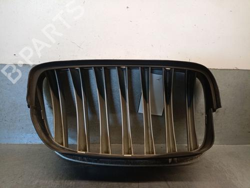 Grill BMW X6 (E71, E72) xDrive 35 d | BP34125926C40 - Image 2