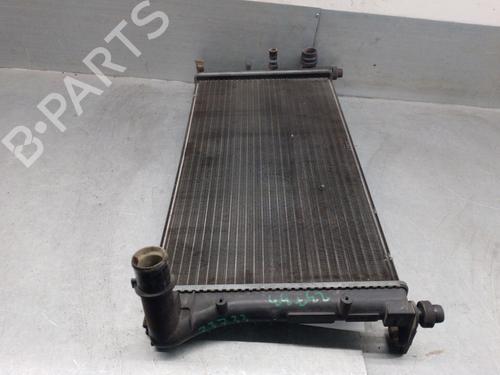 Water radiator FIAT PANDA (169_) 1.2 (169.AXB11, 169.AXB1A) | BP29596425M31 