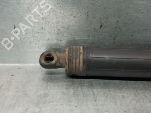 Tailgate lift support AUDI Q3 (8UB, 8UG) 2.0 TDI | BP29426085C138 