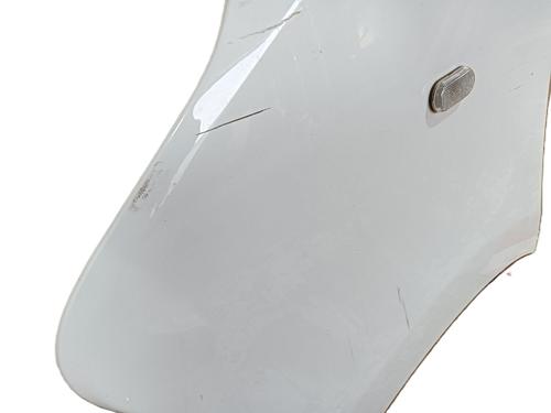 Left front fenders FIAT TALENTO Van (296_) 2.0 EcoJet | BP28311438C41 