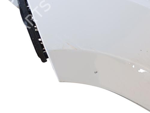 Left front fenders FIAT DUCATO Bus (250_) 140 Multijet 2,2 D | BP29351031C41 