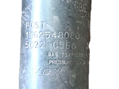 Left rear shock absorber FIAT DUCATO Bus (250_) 140 Multijet 2,2 D | BP27312059M18 