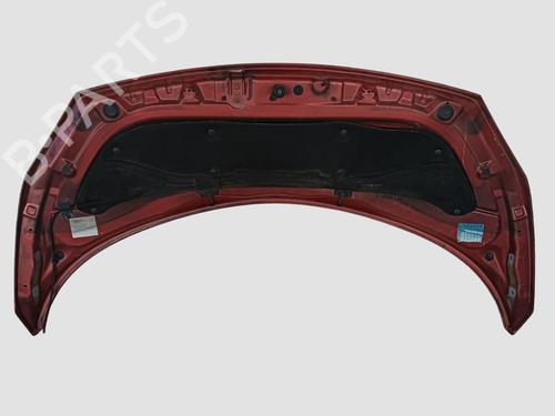 Hood RENAULT SCÉNIC II (JM0/1_) 2.0 (JM05, JM0U, JM1N, JM1U, JM2V) | BP20658065C1 