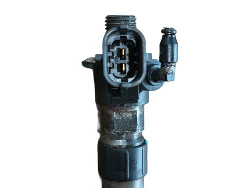 Injector LAND ROVER RANGE ROVER EVOQUE (L538) 2.2 D | BP28113414M100 