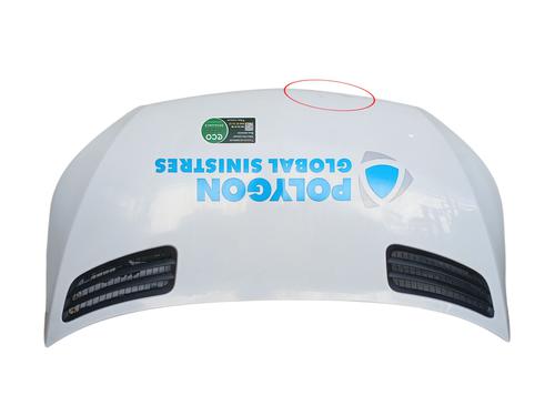 Used Hood MERCEDES-BENZ SPRINTER 3,5-t Van (B907, B910) 314 CDI RWD (907.631, 907.633, 907.635, 907.637) (143 hp) 30317103