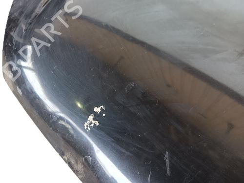 Hood PEUGEOT 206 Hatchback (2A/C) 2.0 HDI 90 | BP24113907C1 