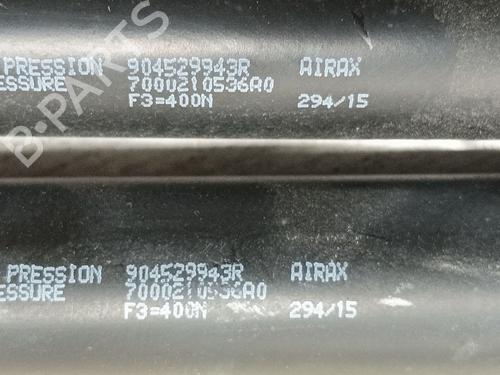 Tailgate lift support DACIA SANDERO II 1.2 | BP25006029C138 