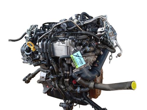 Engine SKODA RAPID Spaceback (NH1) 1.6 TDI | BP29131812M1 
