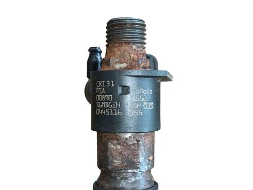 Injector LAND ROVER RANGE ROVER EVOQUE (L538) 2.2 D | BP28113427M100 
