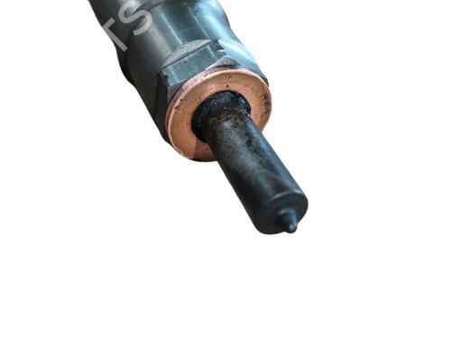 Injector LAND ROVER RANGE ROVER EVOQUE (L538) 2.2 D | BP28113414M100 