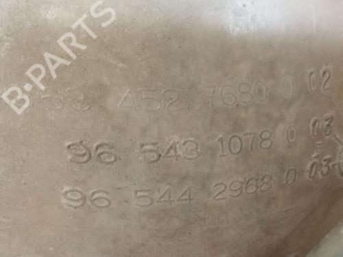Expansion tank CITROËN BERLINGO MULTISPACE (B9) 1.6 HDi 90 | BP29851008C120
