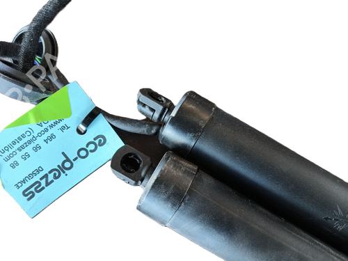Tailgate lift support LYNK & CO 01 PHEV | BP29892041C138