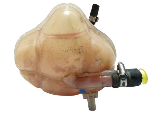 Expansion tank FIAT PUNTO EVO (199_)  | BP11492458C120