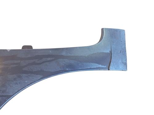 Left front fenders CITROËN C4 Picasso I MPV (UD_) 1.6 HDi | BP27497067C41 