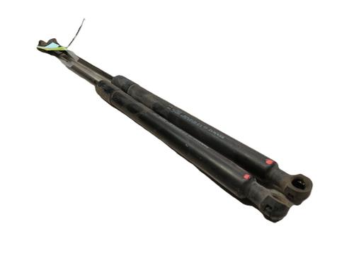 Tailgate lift support DACIA SANDERO II 1.2 | BP25006029C138 