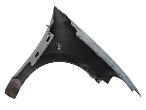 Left front fenders CITROËN C3 I (FC_, FN_) 1.4 HDi | BP18651609C41 