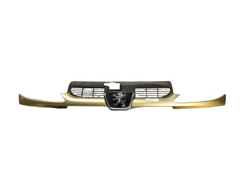 Grille PEUGEOT 206 Hatchback (2A/C)  | BP17004018C40 