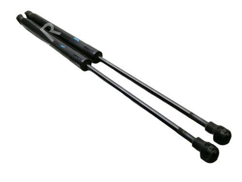 Tailgate lift support DACIA SANDERO II  | BP16441300C138 