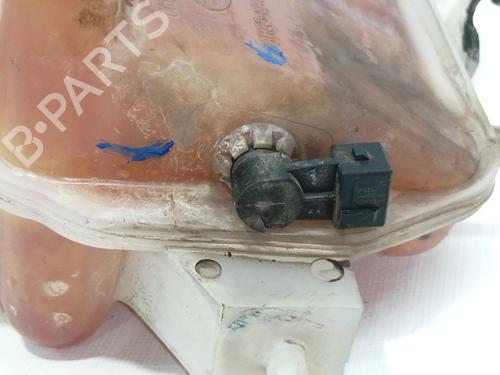 Expansion tank LAND ROVER RANGE ROVER SPORT I (L320) 2.7 D 4x4 | BP8377319C120 