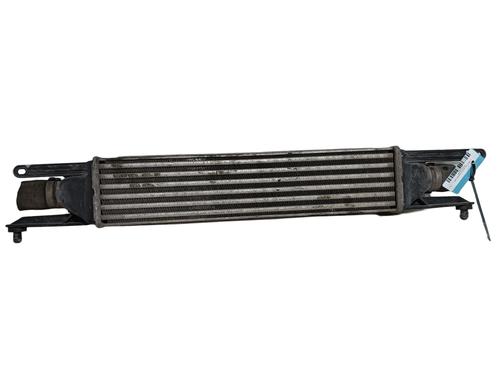 Used Intercooler FIAT GRANDE PUNTO Van (199_) 1.3 JTD Multijet (199CXC1A) (75 hp) 19183270